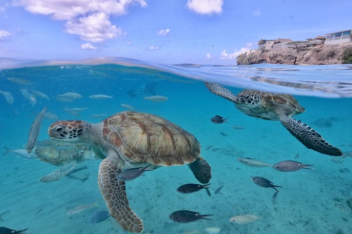 Curacao knip beach